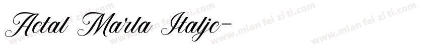 Actal Marla Italjc字体转换